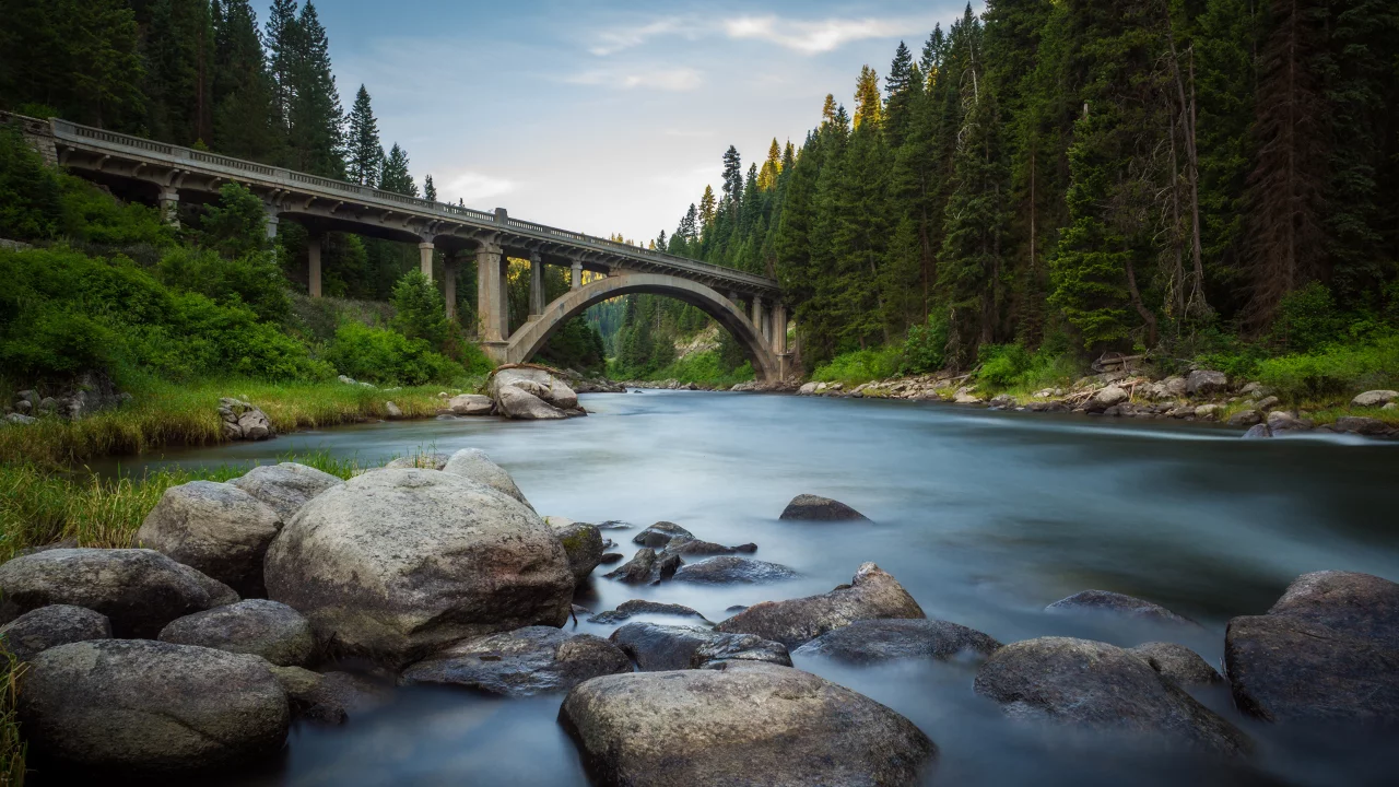 forest, river, river, bridge, states, america