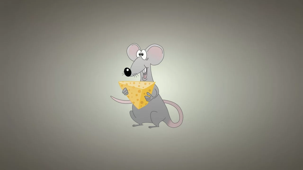 miscellaneous, background, rat, cheese, funny