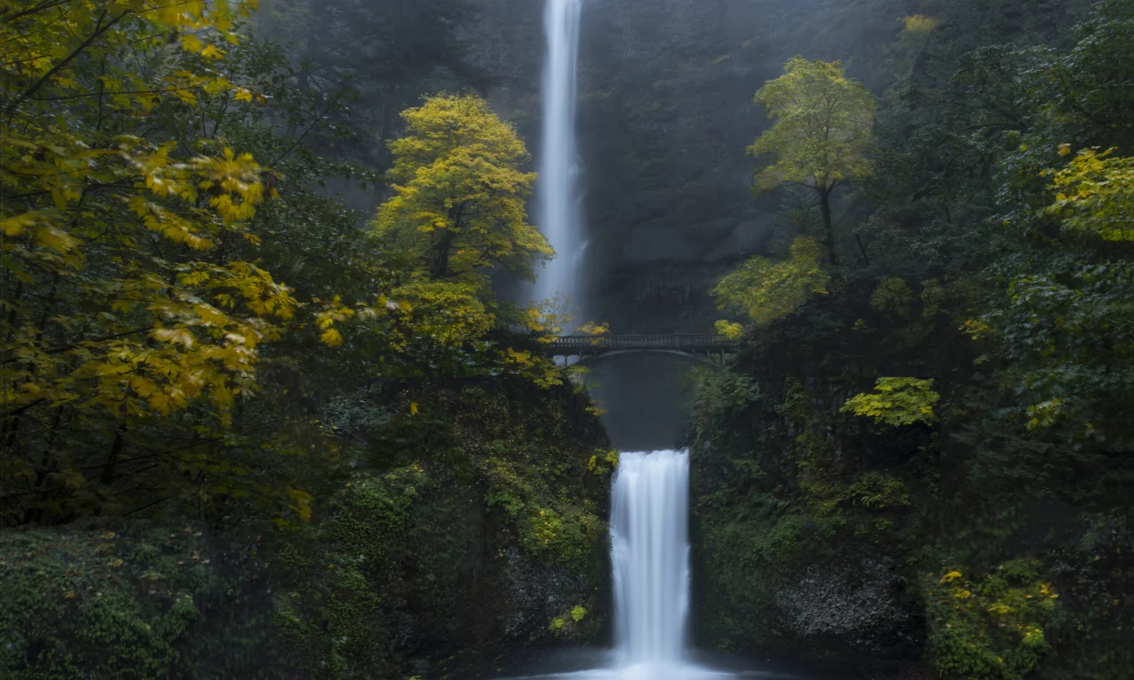 multnomah falls, oregon, forest, waterfalls, green, moss, rocks