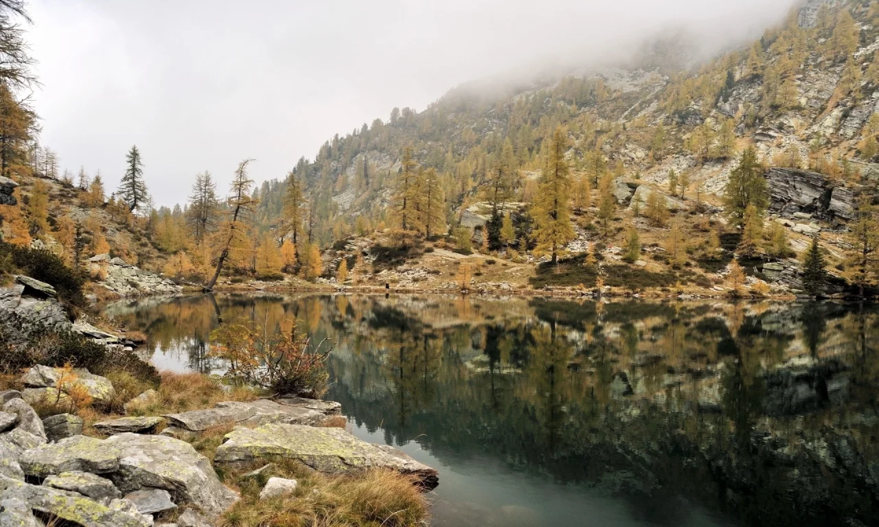 nature, forest, mountains, lake