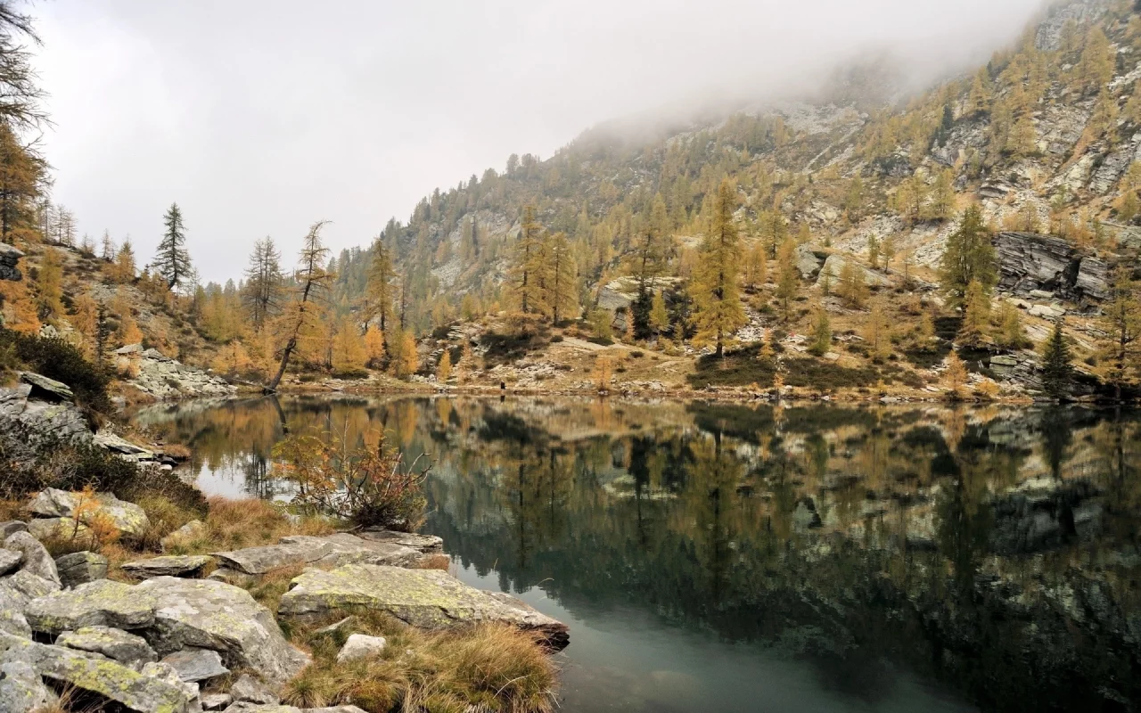 nature, forest, mountains, lake