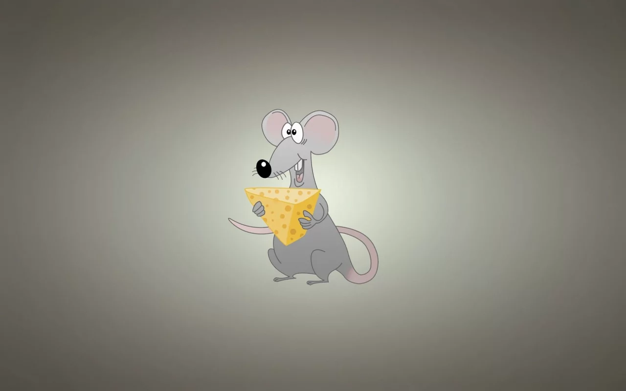 miscellaneous, background, rat, cheese, funny