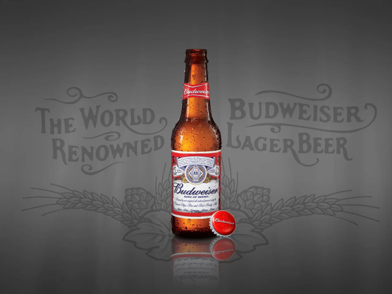 beer, budweiser, bottle