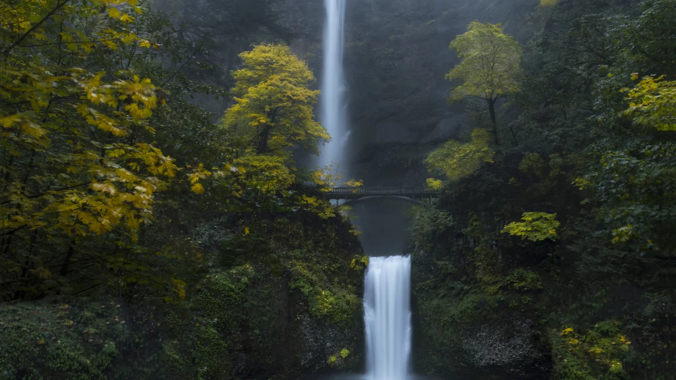 multnomah falls, oregon, forest, waterfalls, green, moss, rocks
