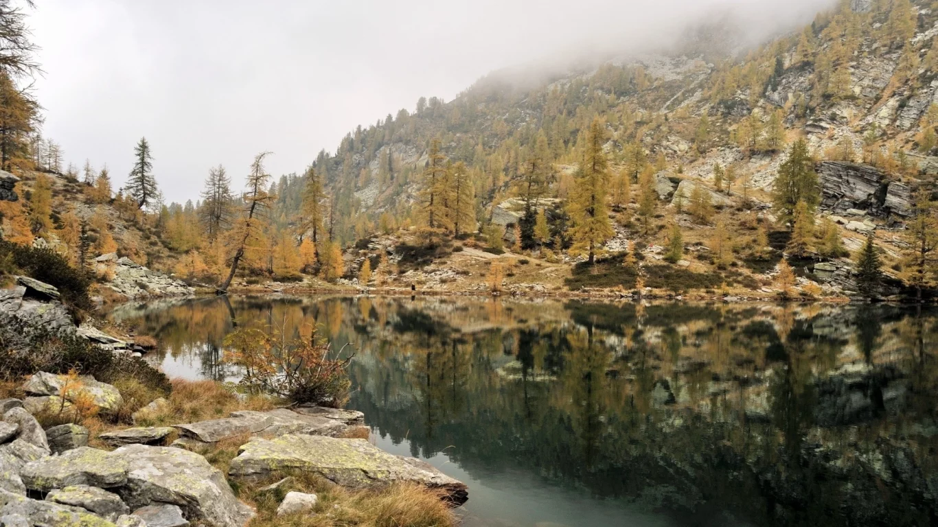 nature, forest, mountains, lake
