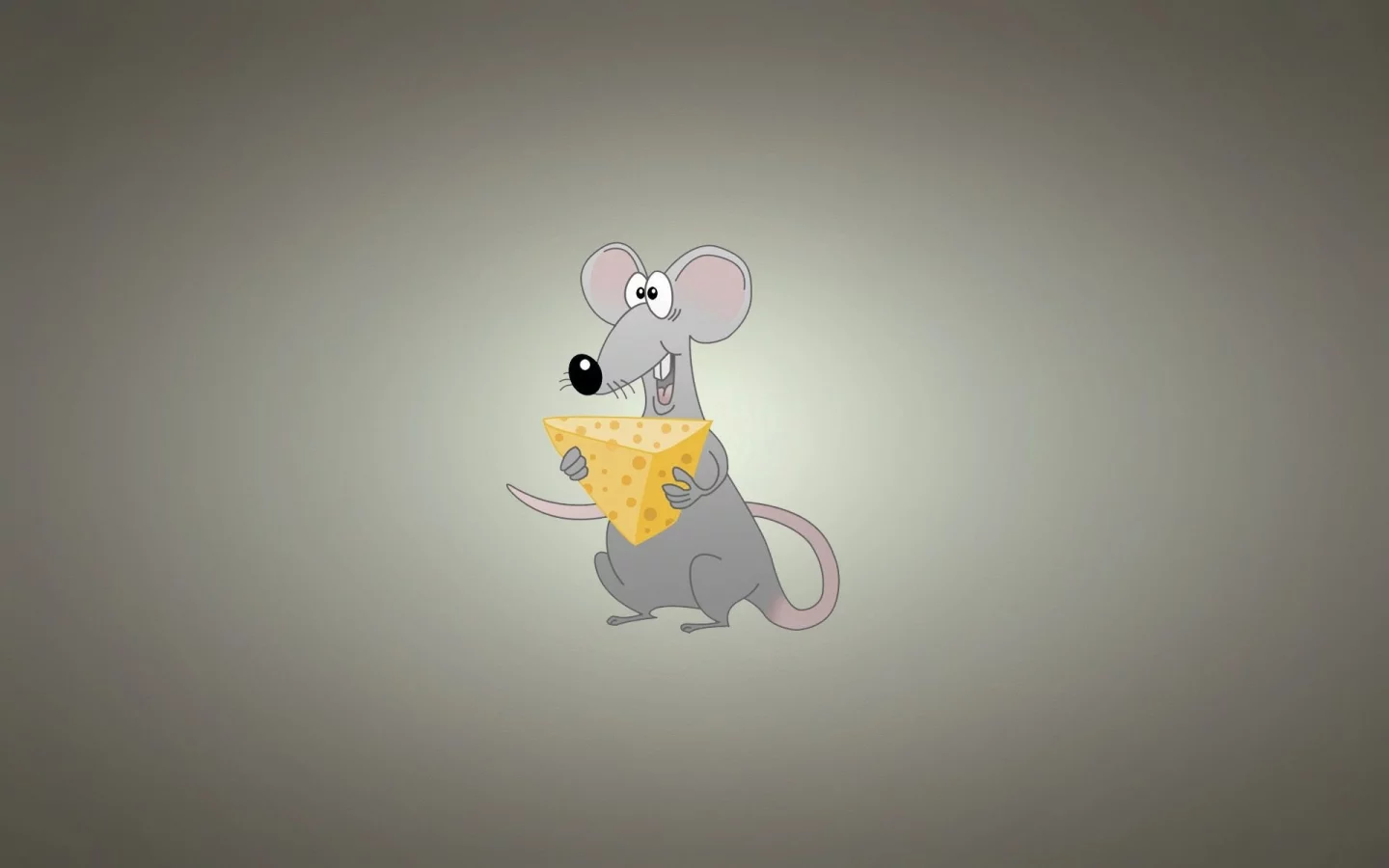 miscellaneous, background, rat, cheese, funny
