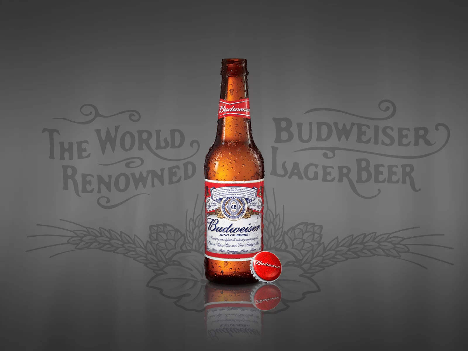 beer, budweiser, bottle