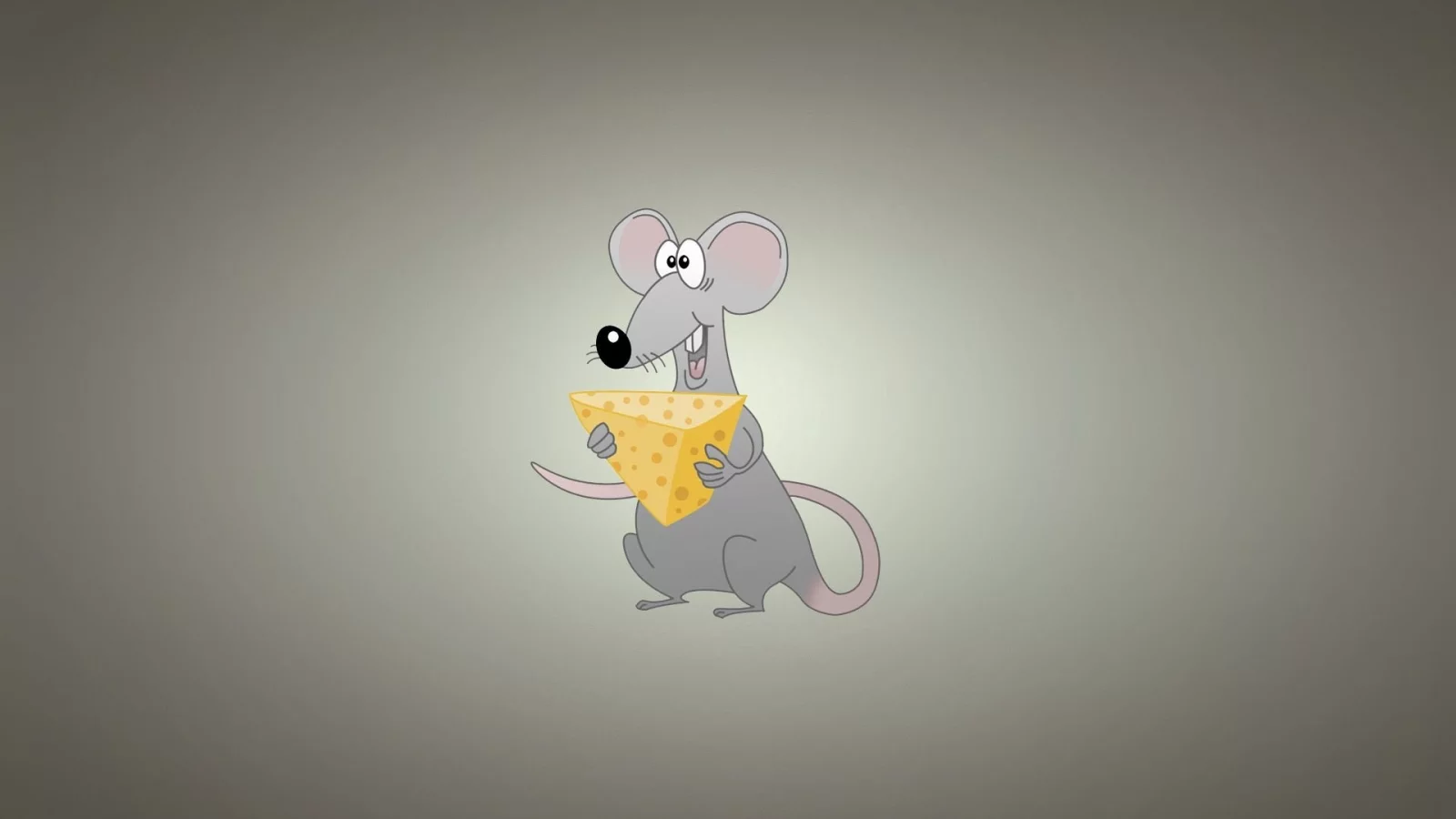 miscellaneous, background, rat, cheese, funny