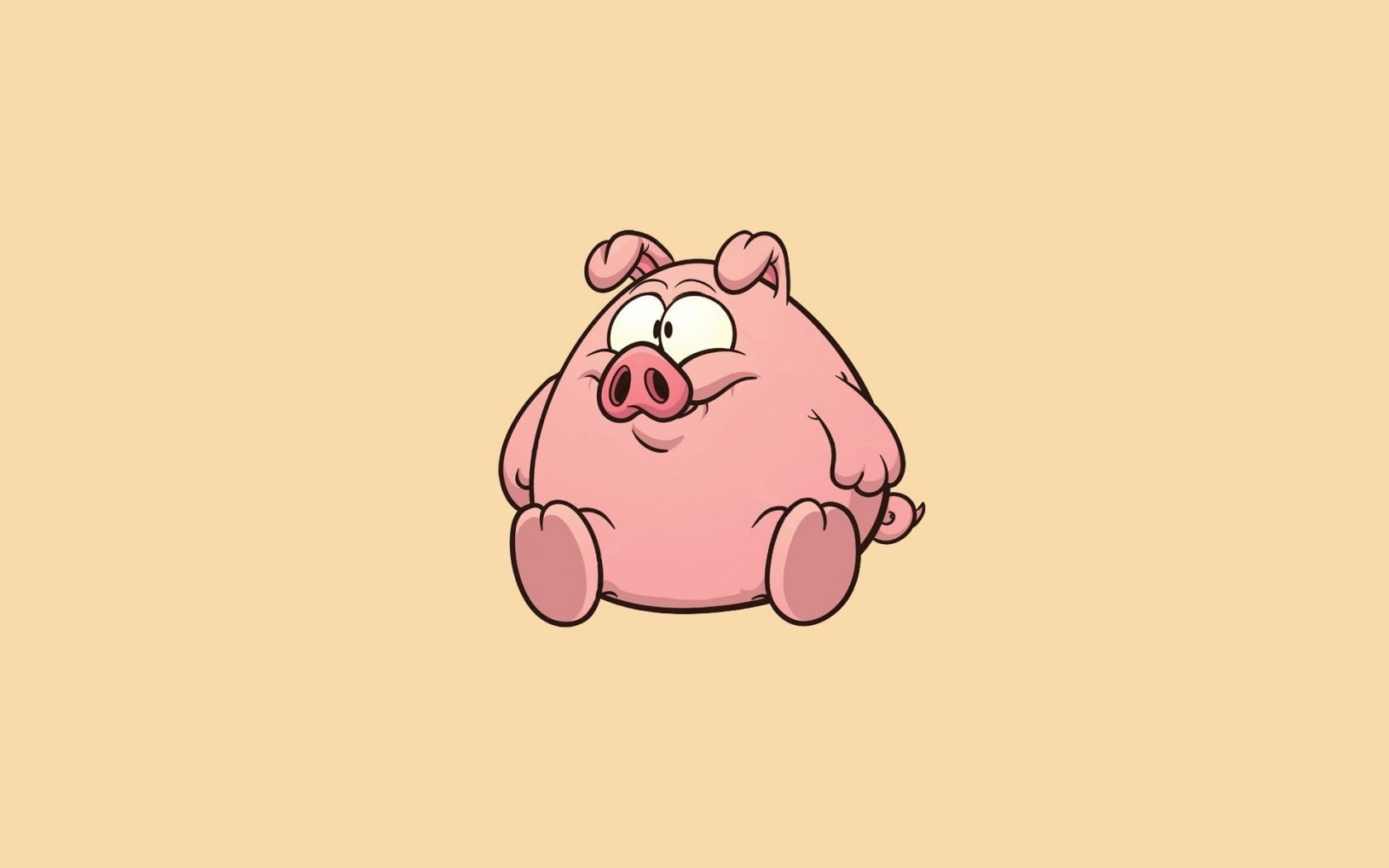 miscellaneous, background, piglet, funny