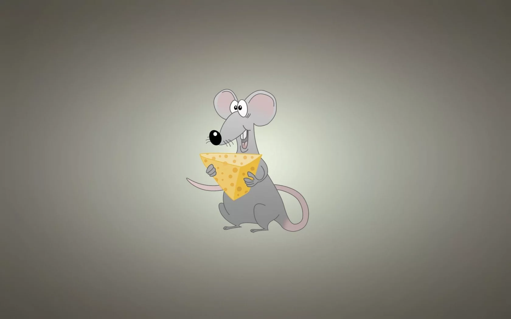 miscellaneous, background, rat, cheese, funny