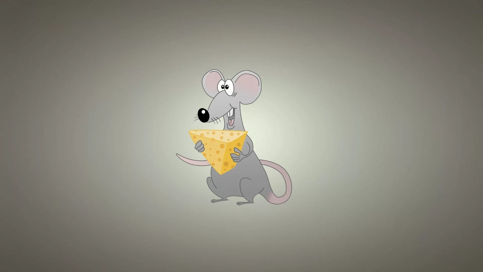 miscellaneous, background, rat, cheese, funny