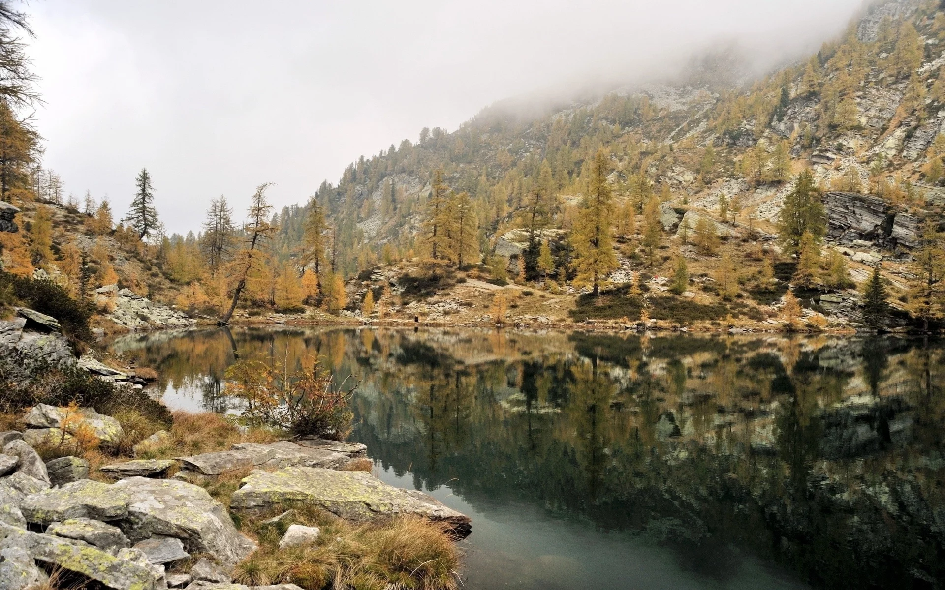 nature, forest, mountains, lake