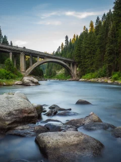 forest, river, river, bridge, states, america