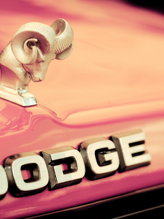 car, design, pinkie, red, engine