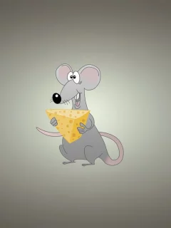 miscellaneous, background, rat, cheese, funny