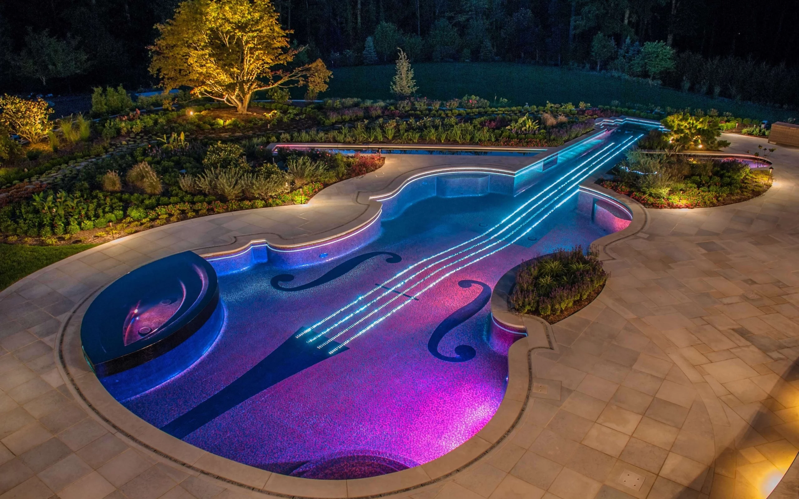 swimming pool, design, violin
