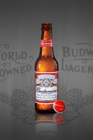 beer, budweiser, bottle