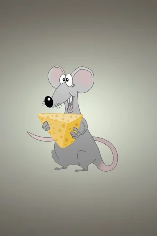 miscellaneous, background, rat, cheese, funny