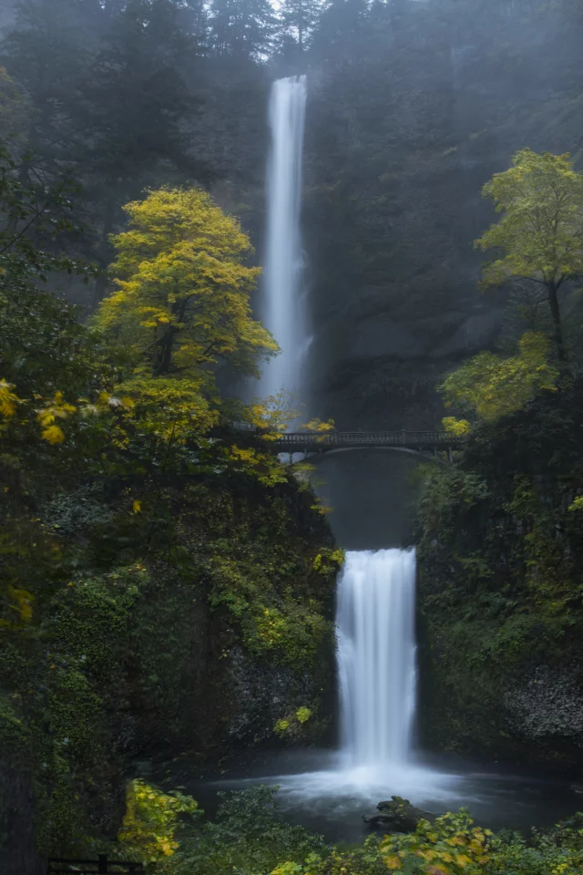 multnomah falls, oregon, forest, waterfalls, green, moss, rocks