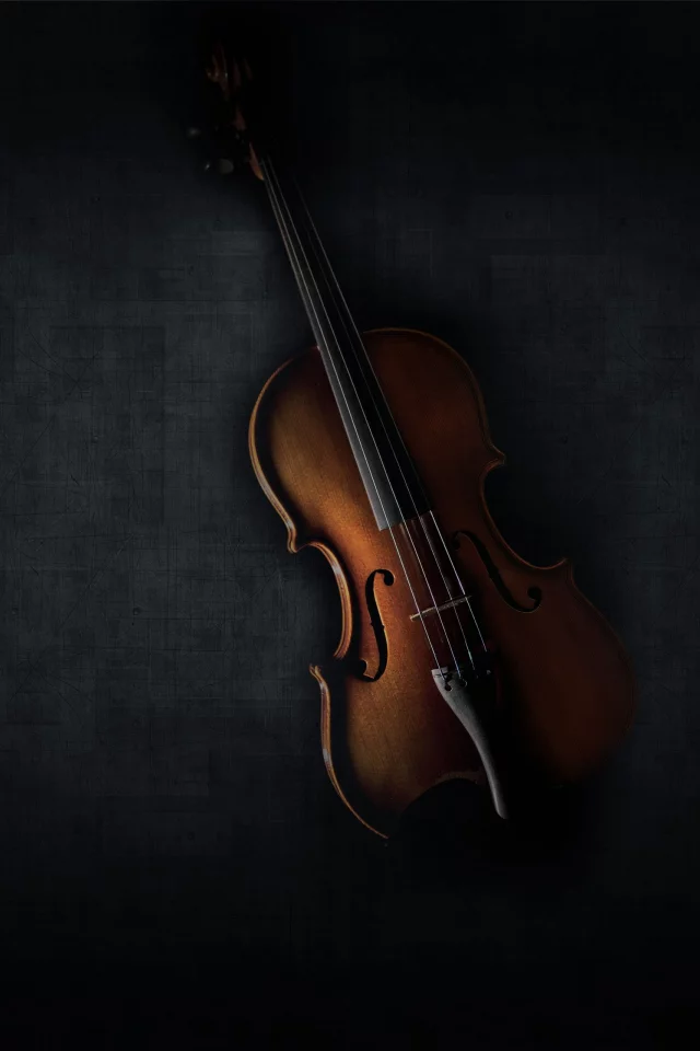 music, violin, musical instrument