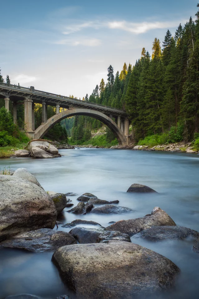 forest, river, river, bridge, states, america