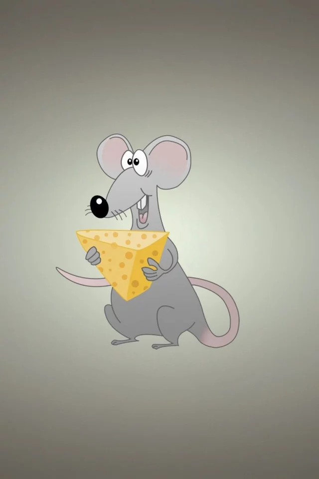 miscellaneous, background, rat, cheese, funny