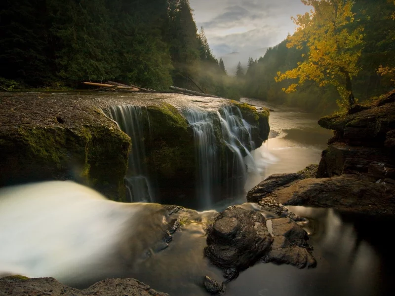 stones, river, stream, waterfall, autumn, trees, break, evening, cloudy