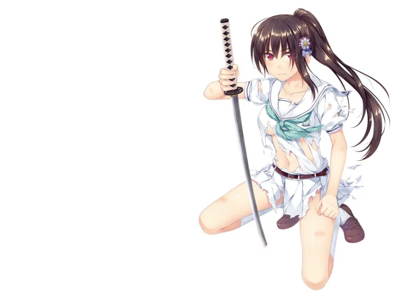 schoolgirls, inuduca rumi, katana, torn clothes, school uniform, anime girls