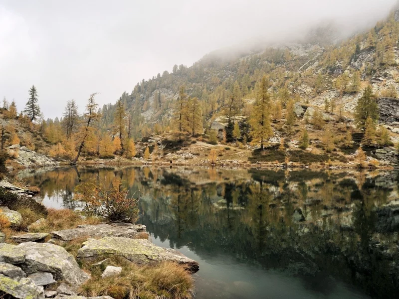nature, forest, mountains, lake