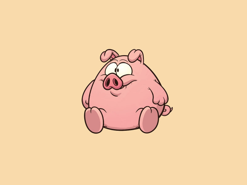 miscellaneous, background, piglet, funny