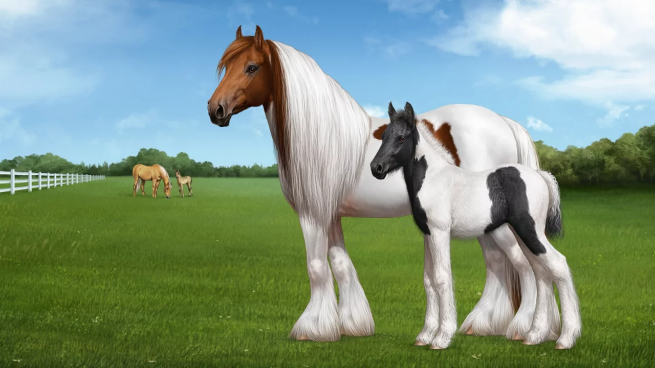 horse, foal, field, grass
