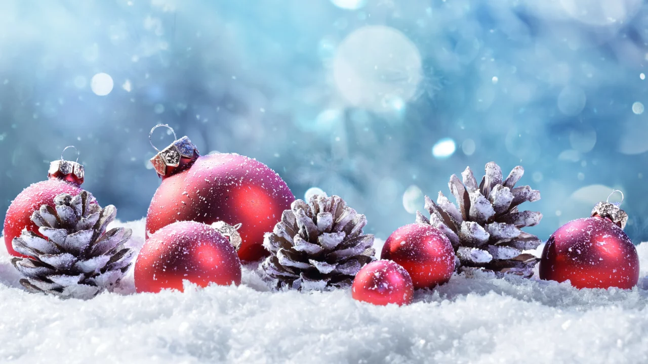 christmas day, snow, christmas, ornament, plant, natural