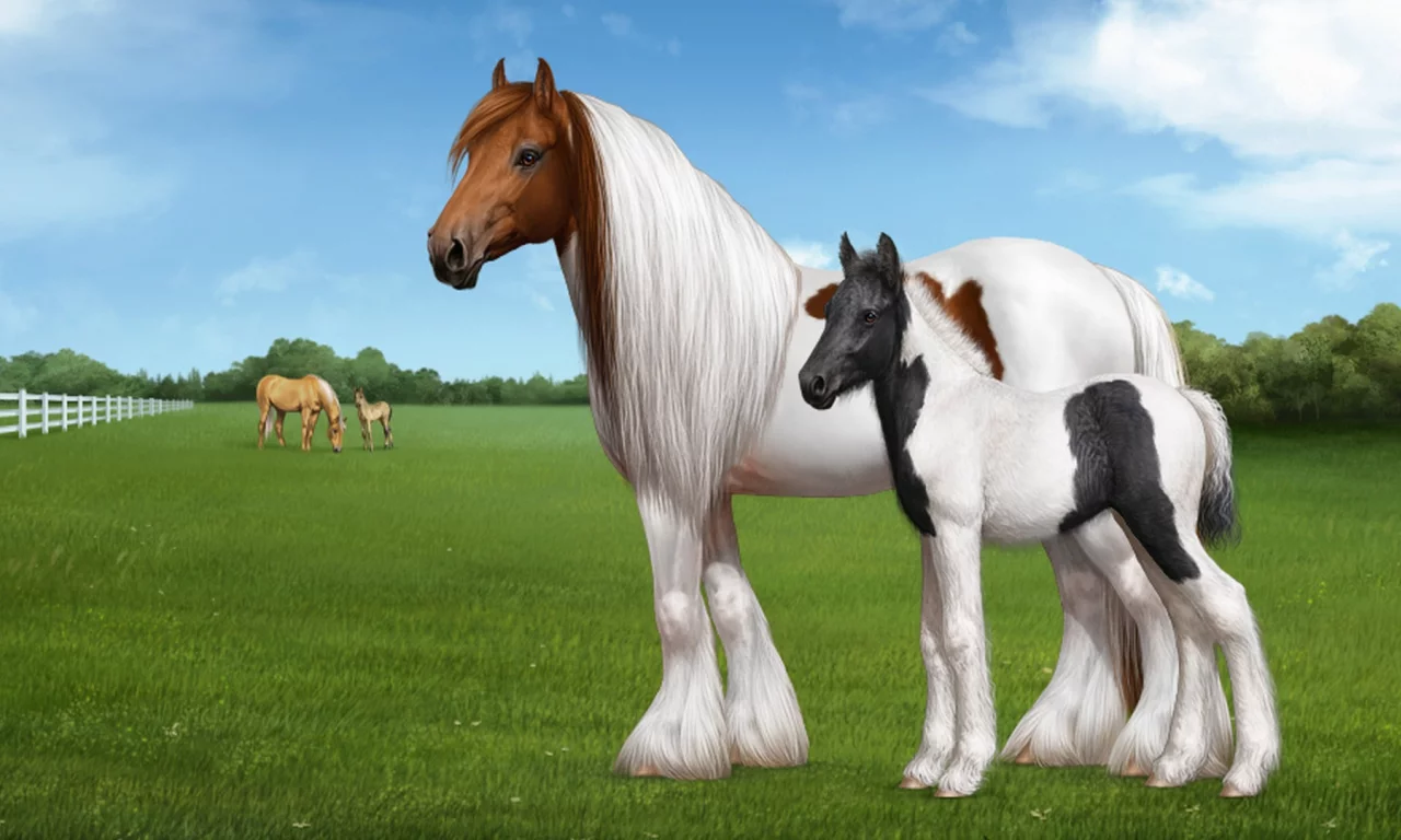 horse, foal, field, grass