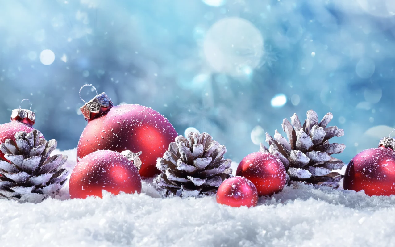 christmas day, snow, christmas, ornament, plant, natural