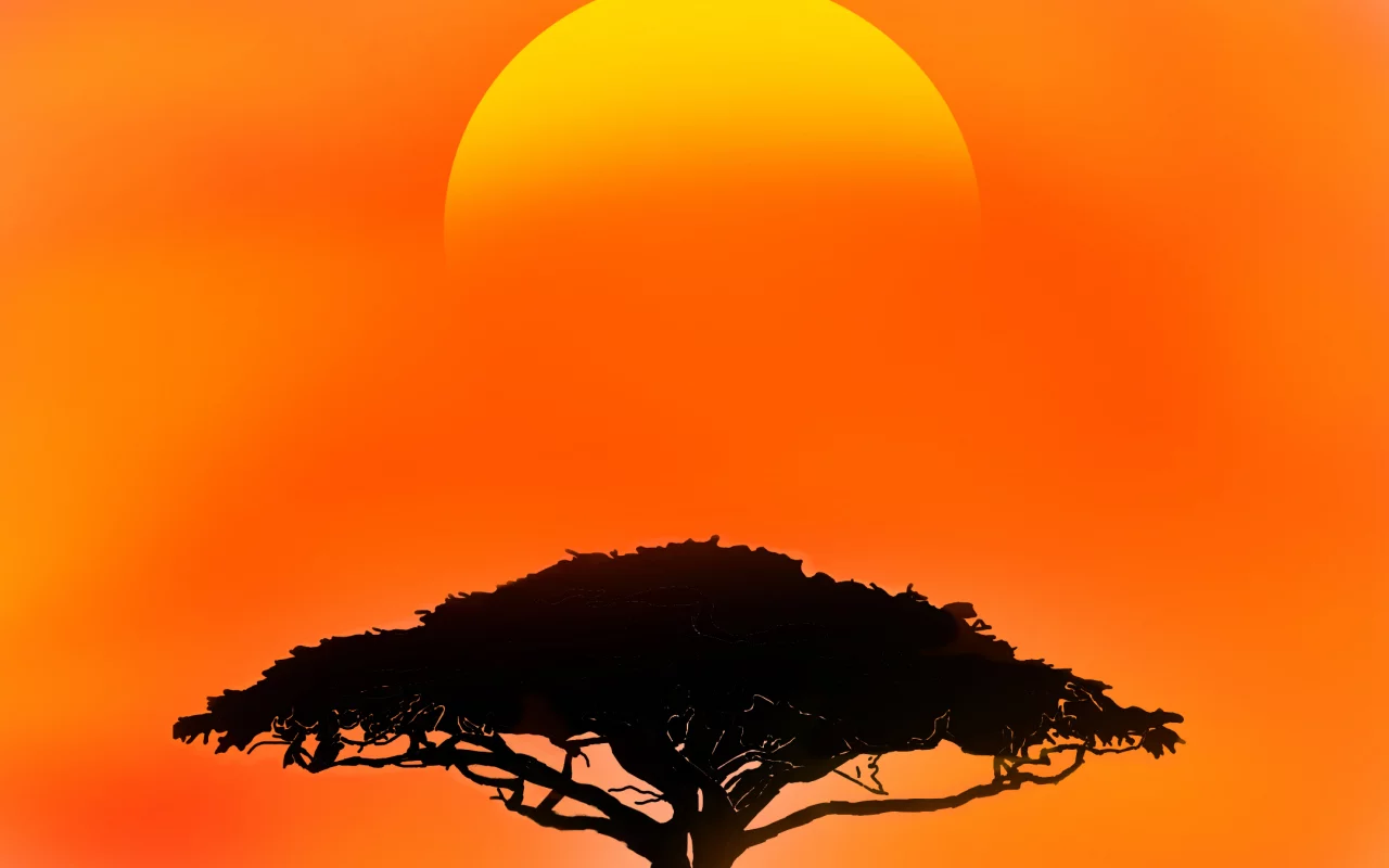 atmosphere, ecoregion, light, plant, nature