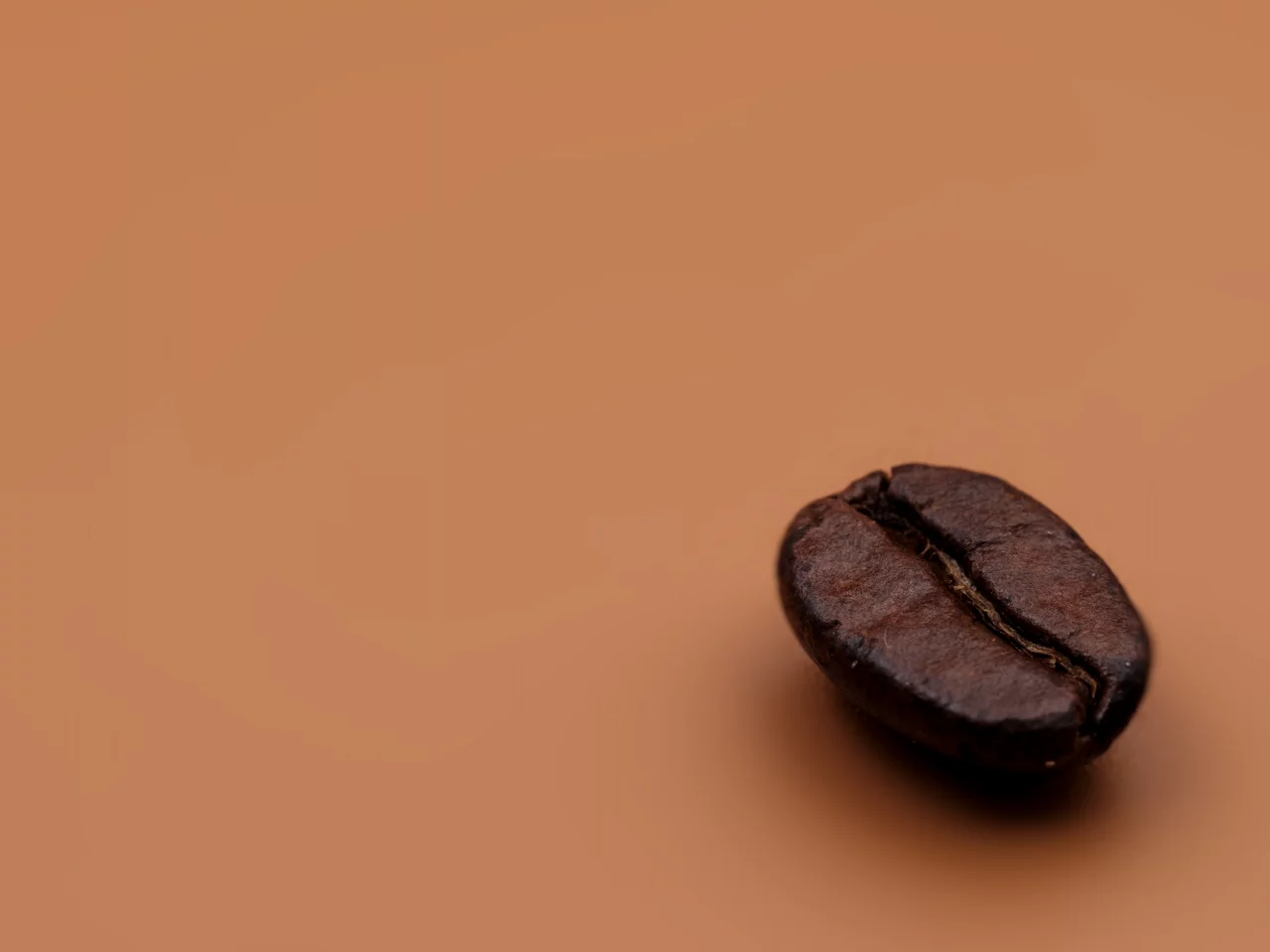 macro, grain, coffee