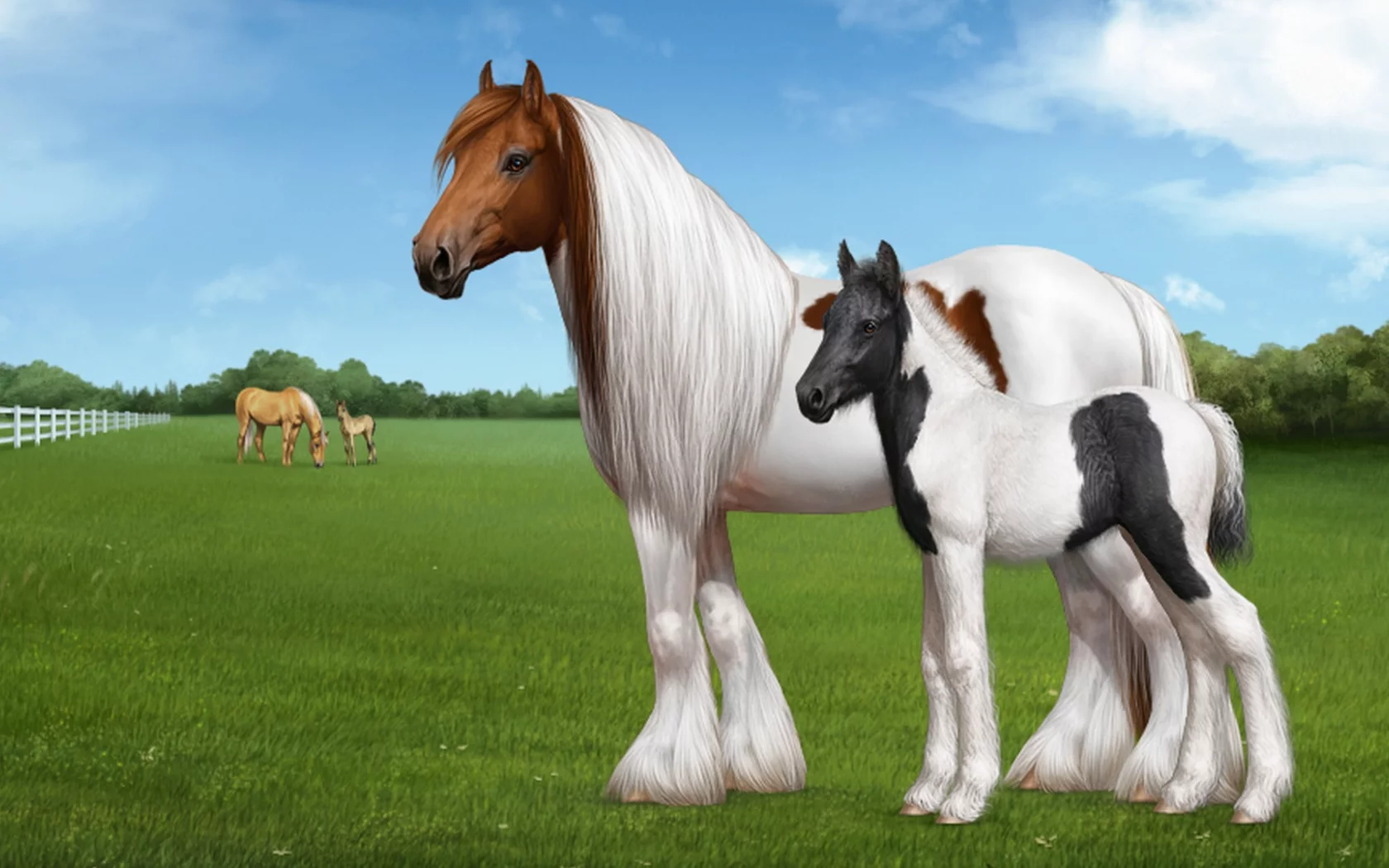 horse, foal, field, grass