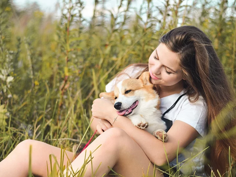 girl, beautiful, nature, dog