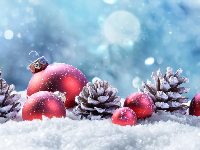 christmas day, snow, christmas, ornament, plant, natural