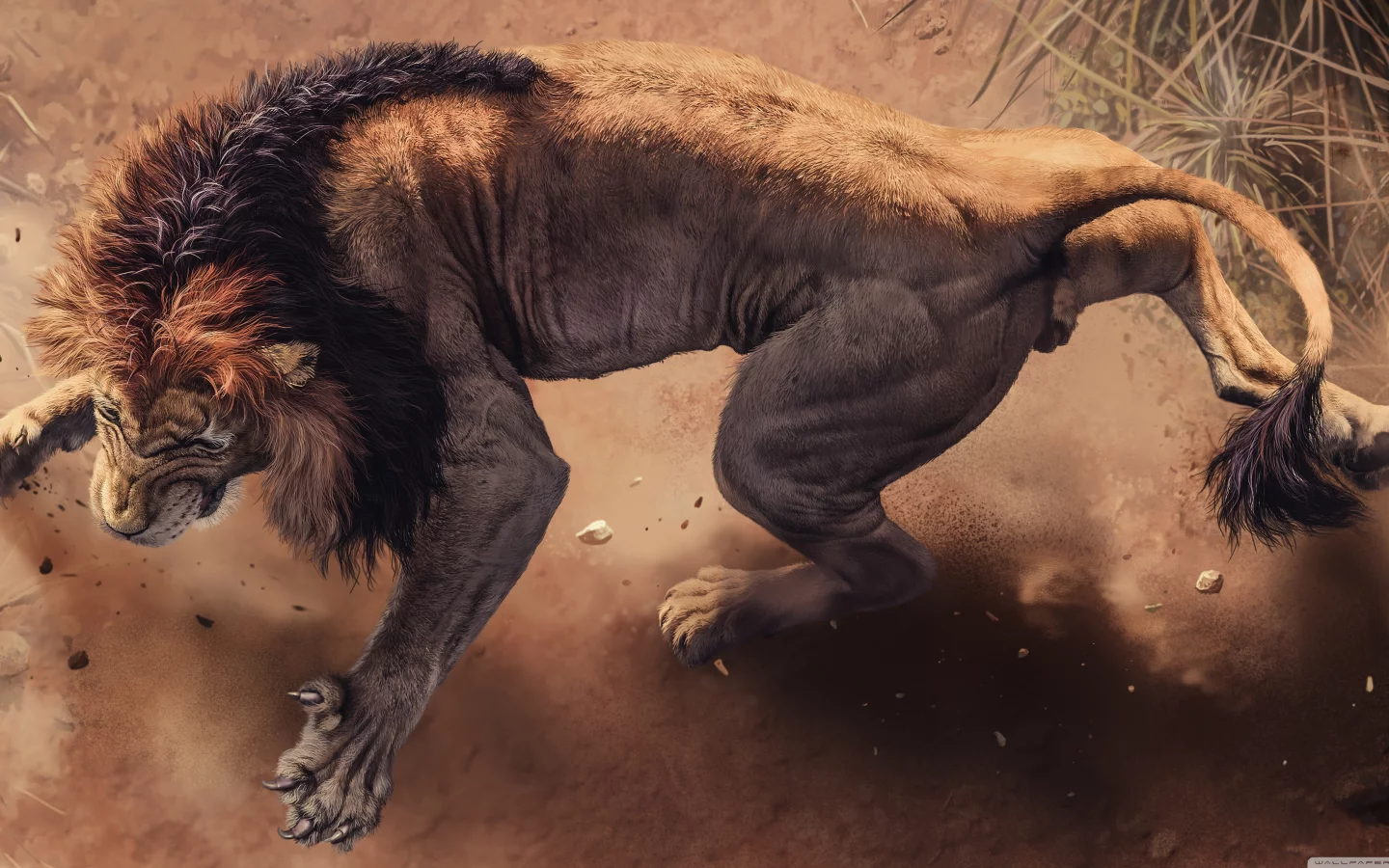 big lion