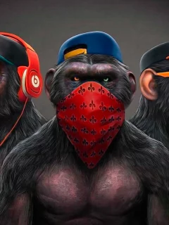 art, monkey, see nothing, hear nothing, say nothing
