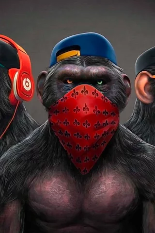 art, monkey, see nothing, hear nothing, say nothing