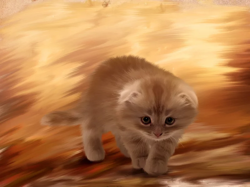котенок