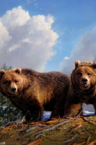 Животные