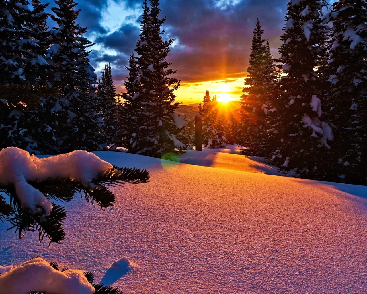 природа