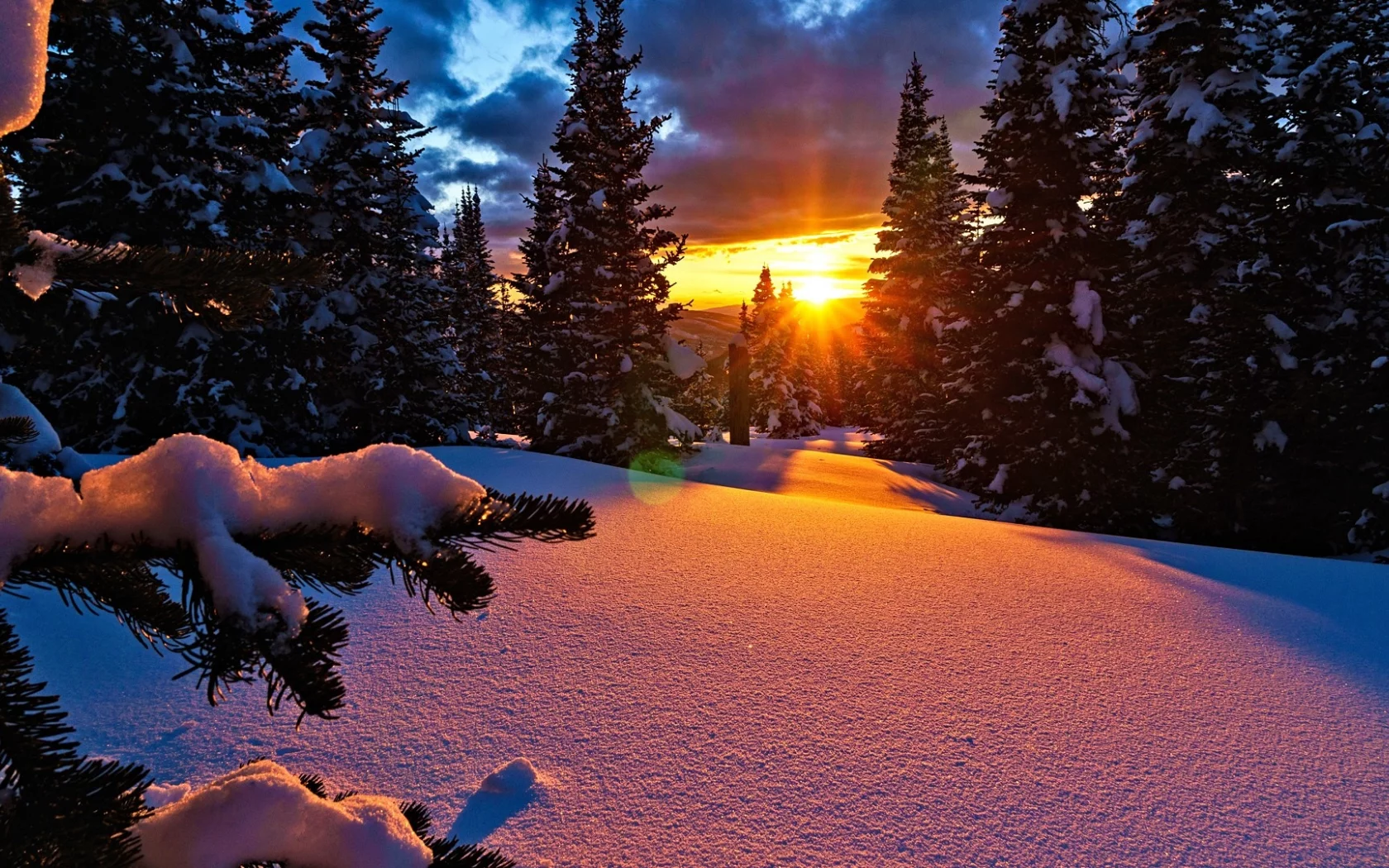 природа