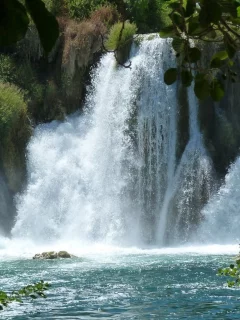природа