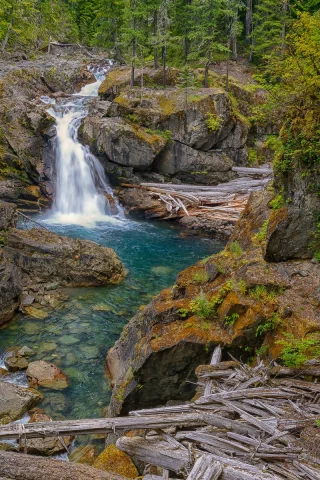 природа
