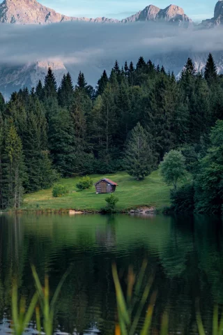 природа