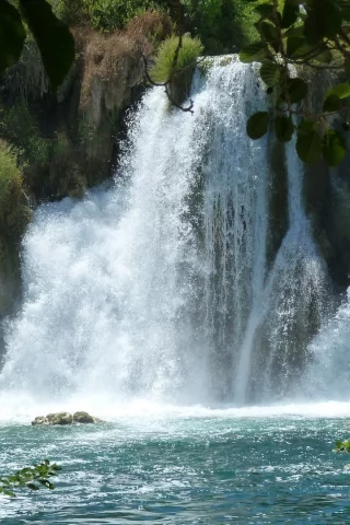 природа
